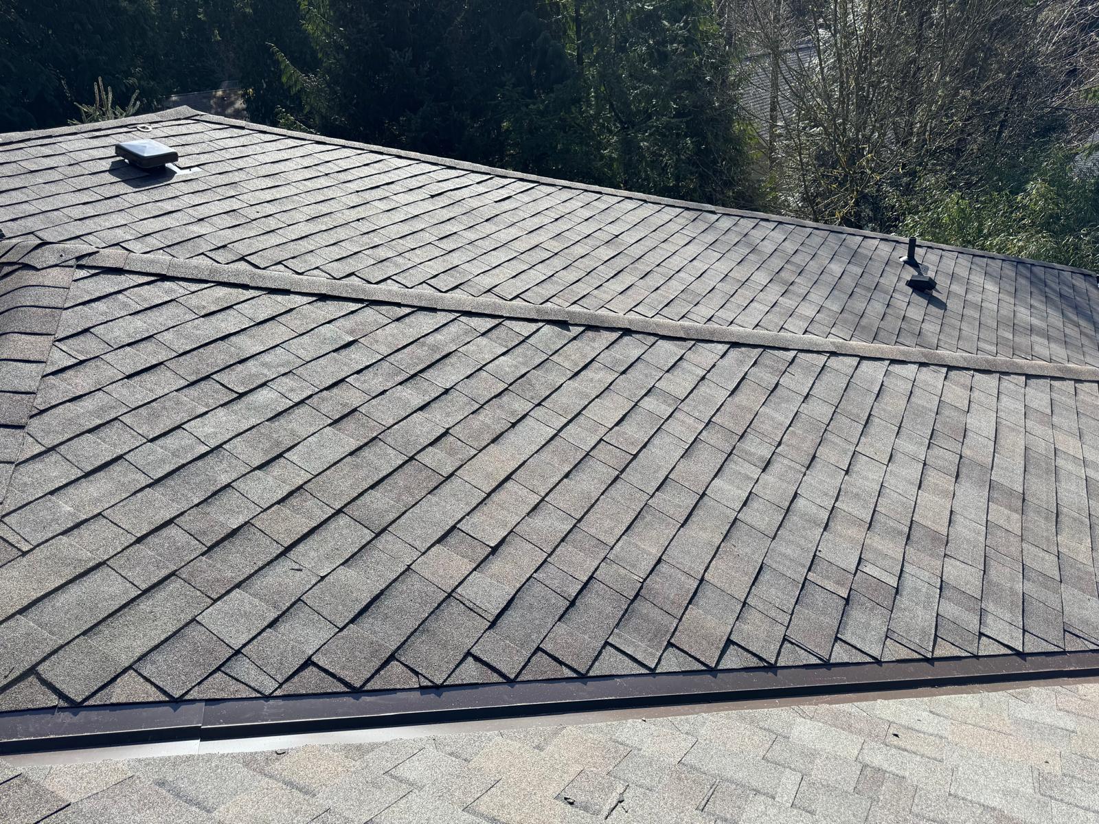 Gutter Maintenance